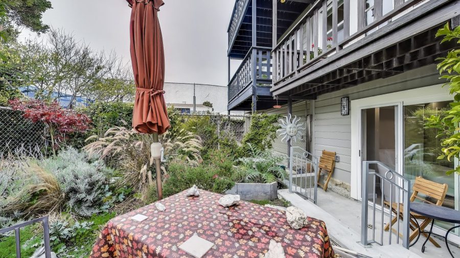 Shared back yard 