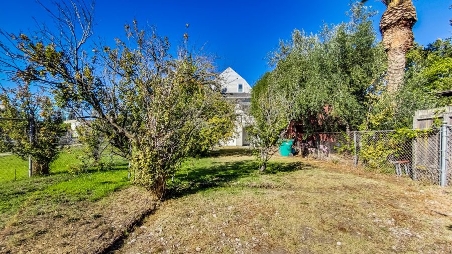 Back yard.