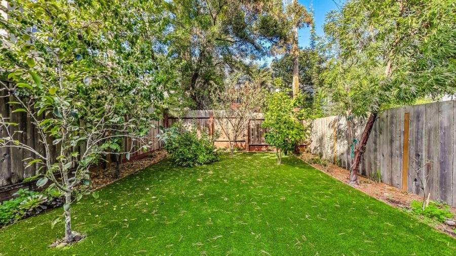 Lovely and spacious garden