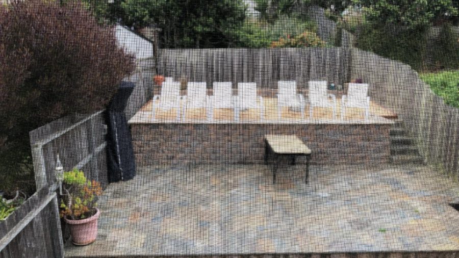 Backyard area.