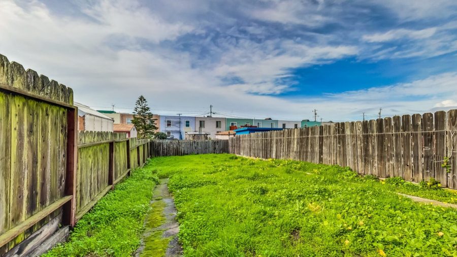 Spacious back yard. 