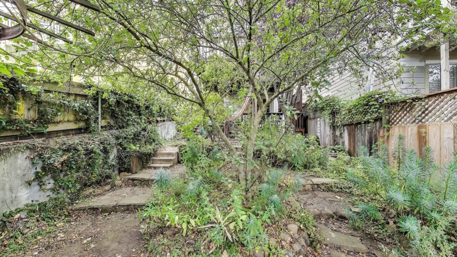 Shared Back yard off patio