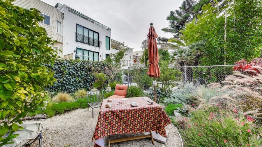 Shared back yard 