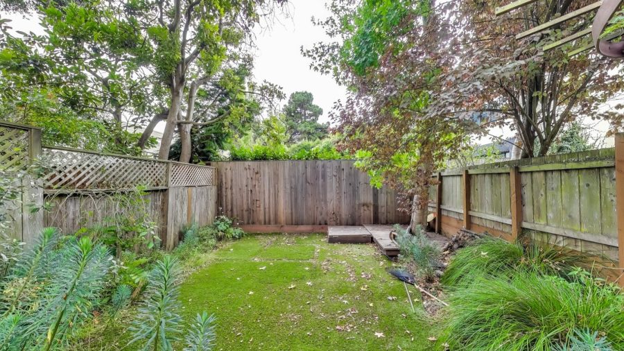 Shared Back yard off patio