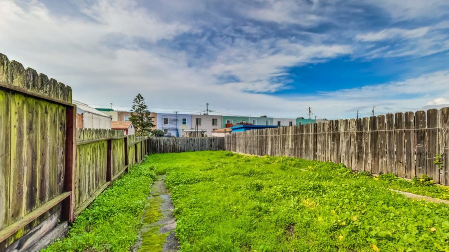 Spacious back yard. 