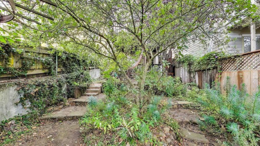 Shared Back yard off patio