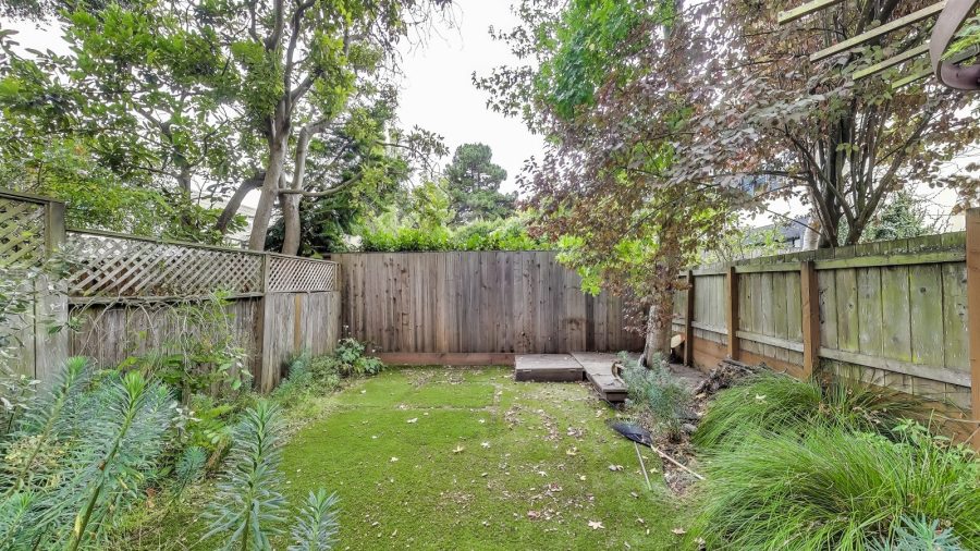 Shared Back yard off patio