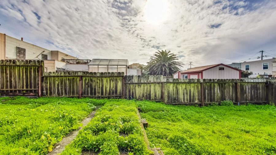 Every day seems sunny and bright in this back yard. 