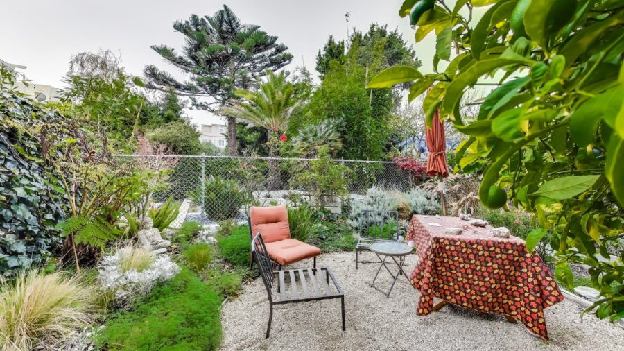 Shared back yard 