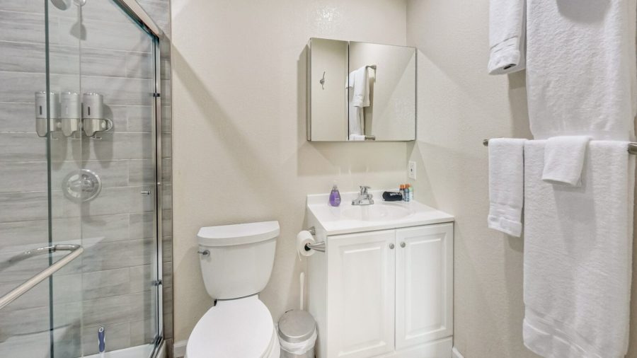 Lower level bathroom.