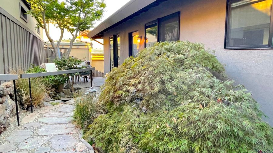 Secluded inner pathways, front door, and front patio/deck