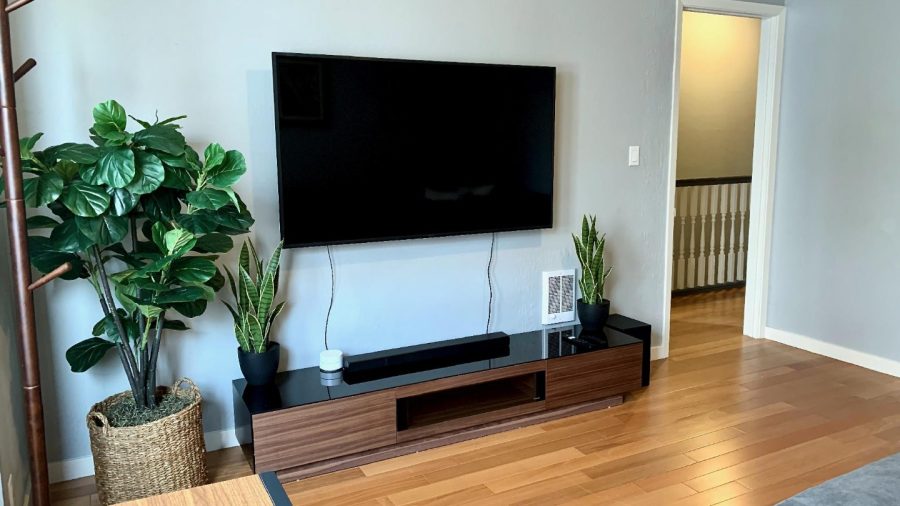 Large TV in the Living Room...