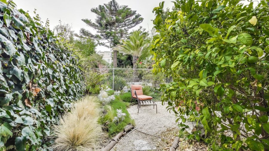 Shared back yard 