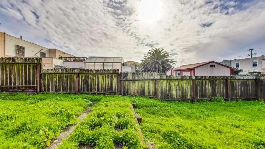 Every day seems sunny and bright in this back yard. 