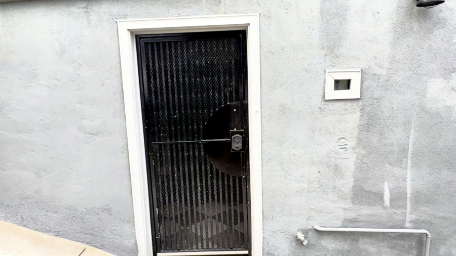 Well lite and secure entry door
