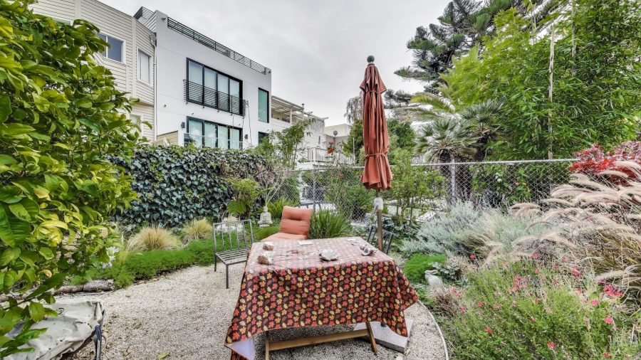 Shared back yard 
