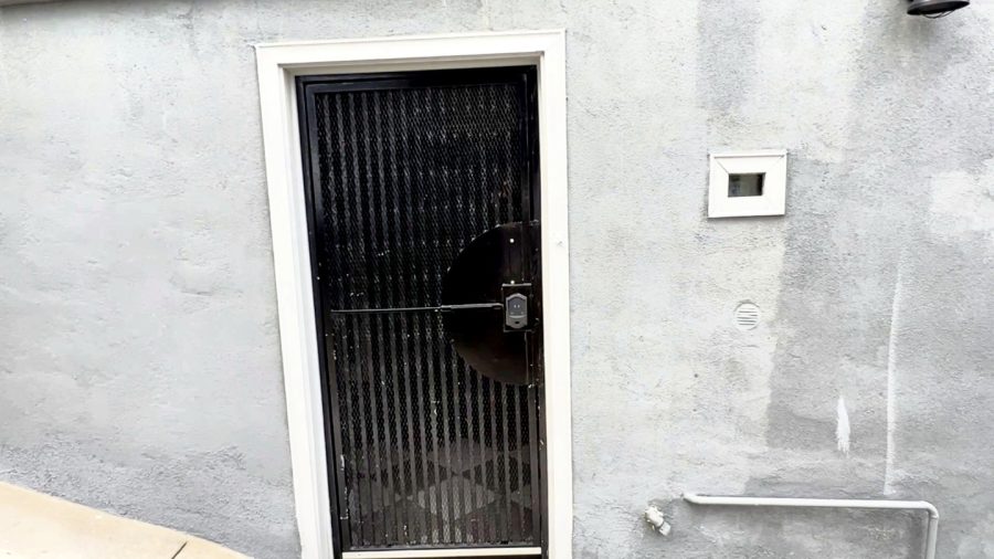Well lite and secure entry door