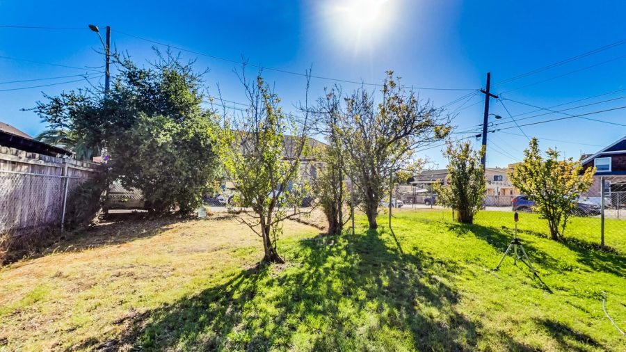 Back yard.