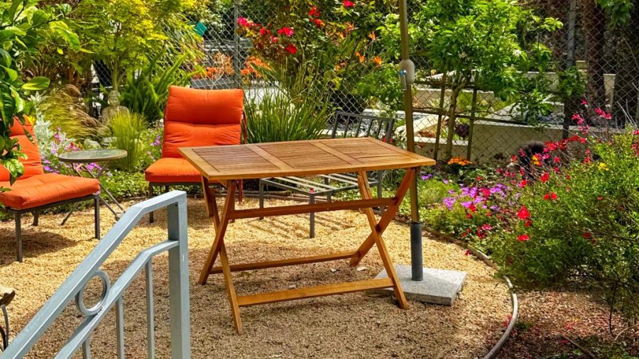 Shared back yard 