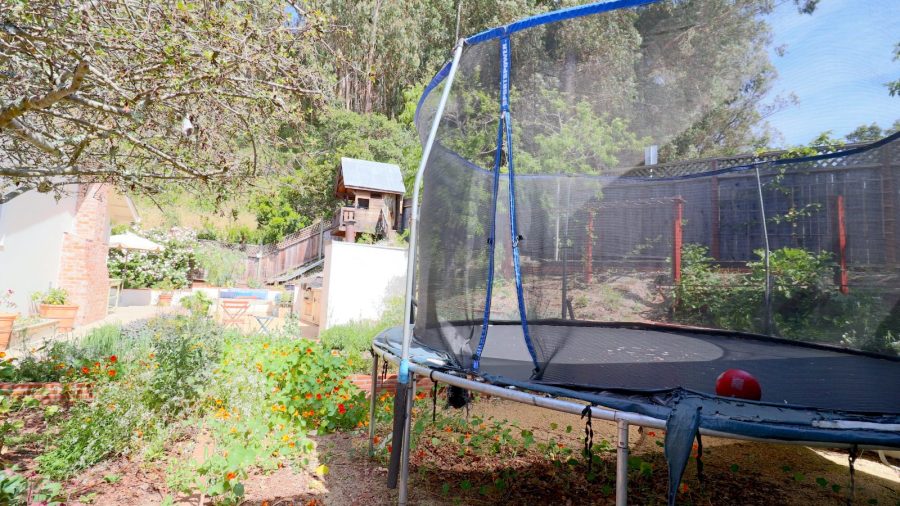 Trampoline!