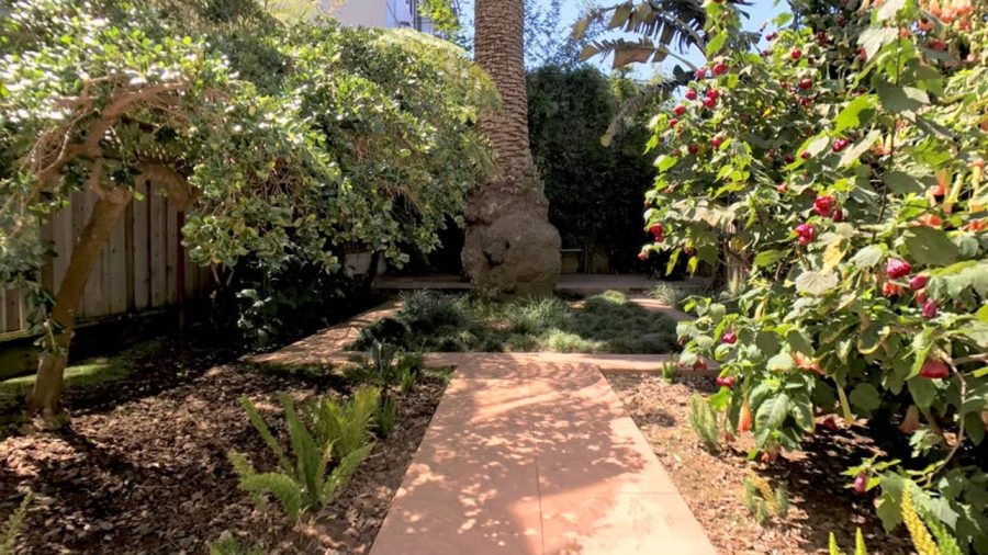 Pathways to the rear patio