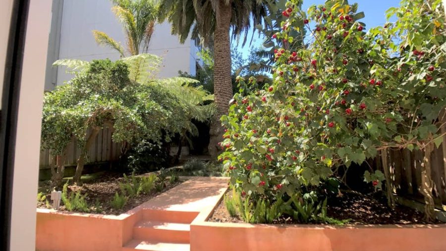 Condo with botanical garden