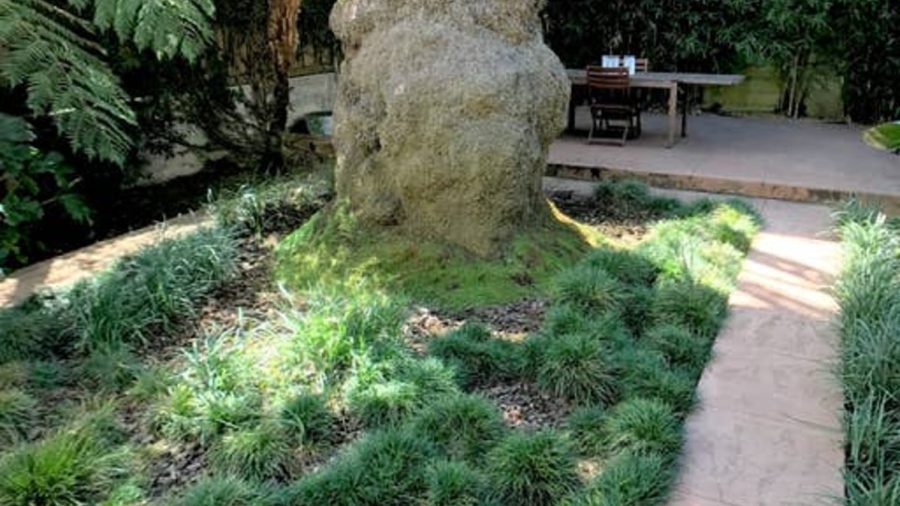 Pathways to the rear patio