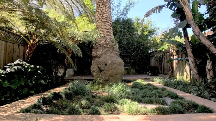 Pathways to the rear patio