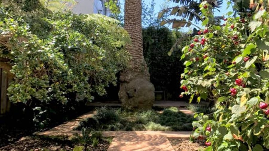 Pathways to the rear patio